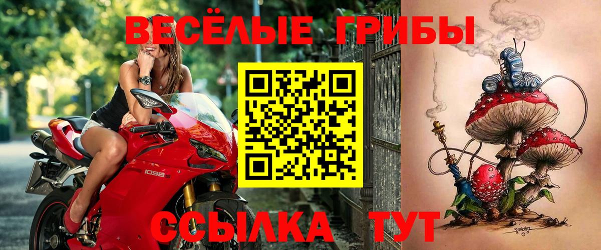 Псилоцибиновые грибы MAGIC MUSHROOMS  Вход с VPN  Псилоцибиновые грибы GOLDEN TEACHER  Шали 